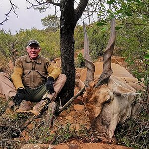 Eland Hunting Karoo South Africa