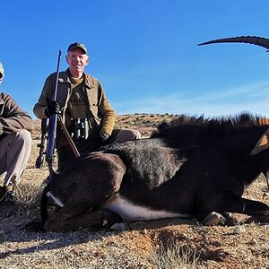 Sable Hunting Karoo South Africa