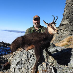 Chamois Hunting New Zealand