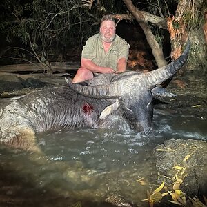 Asiatic Water Buffalo Hunt Australia