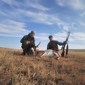 Pronghorn Antelope Hunt Canada