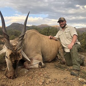 Eland Hunt Karoo South Africa