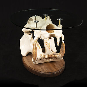 Hippo Skull Table