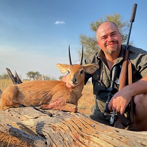 Steenbok Hunt South Africa