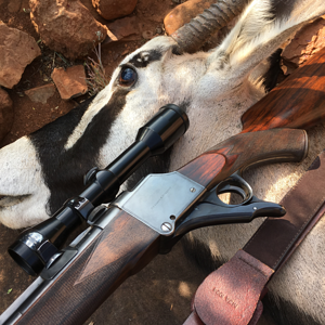 Gemsbok Hunting