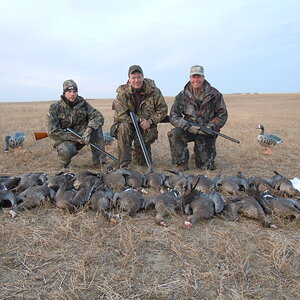 Hunting Specklebelly Geese In Saskatchewan