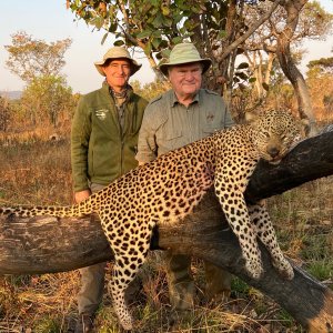 Hunting Leopard Tanzania