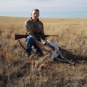 Alberta Pronghorn