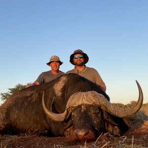 Buffalo Hunt South Africa