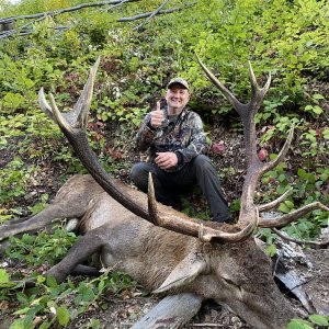 Carpathian Stag Hunt Romania