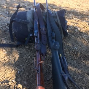 Blaser R8 & Model 98 Actioned Rifle