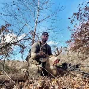Whitetail bow hunt