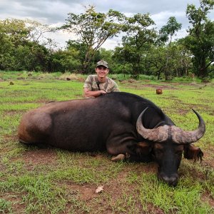 Hunting Central African Savanna Buffalo in Central African Republic