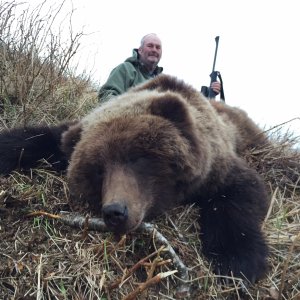 Brown Bear Hunt