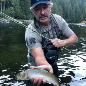 Bull Trout Fishing Idaho