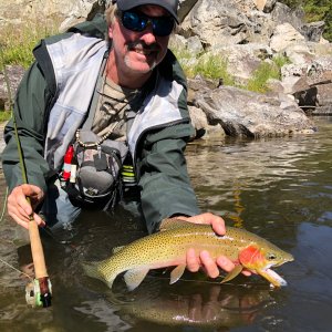 Cutthroat Fishing Idaho