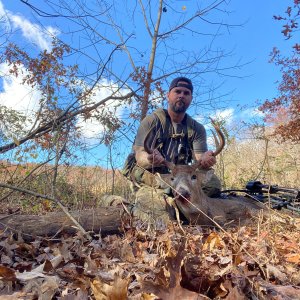 Whitetail Deer Bow Hunting Northern Virginia