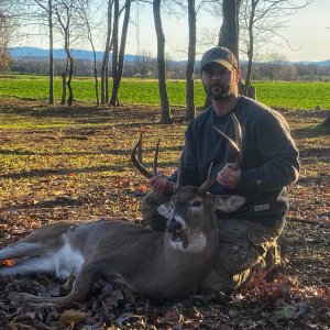 Whitetail Deer Bow Hunting Northern Virginia