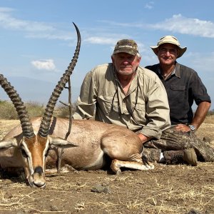 Grants Gazelle Hunt Tanzania