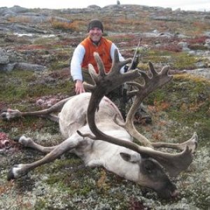 Caribou Hunt Quebec