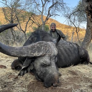 47 inches Buffalo