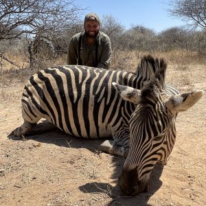 Zebra Hunt Africa