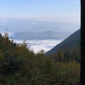 Austrian Landscape