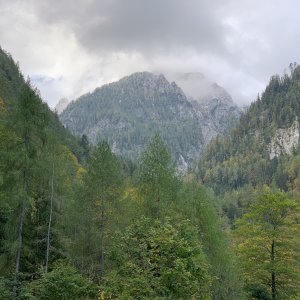 Austrian Landscape