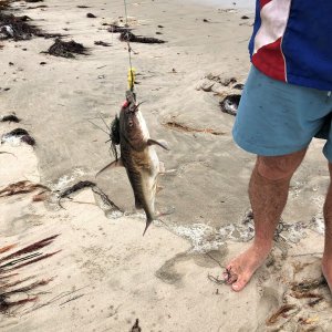 Fishing Namibia