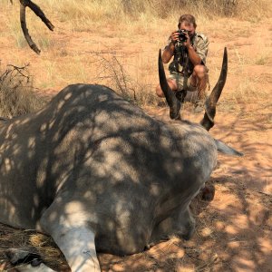 Eland Hunting Namibia