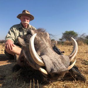 Warthog Hunt Namibia