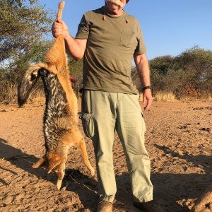 Jackal Hunt Namibia
