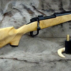 Accurate Innovations Stock On Rifle