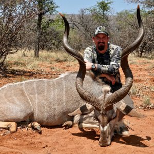 Kudu Hunt Limpopo South Africa