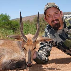 Bushbuck Hunt Limpopo South Africa