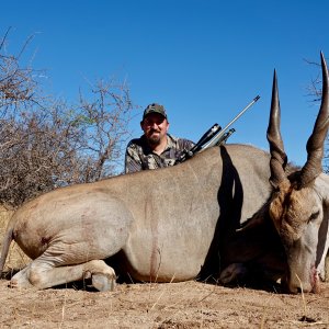 Eland Hunt Limpopo South Africa