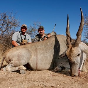 Eland Hunt Limpopo South Africa