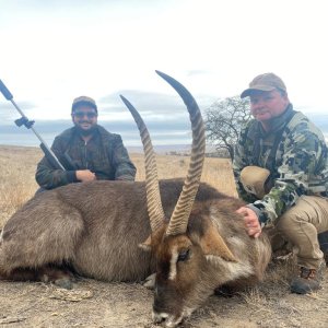 Waterbuck Hunt South Africa