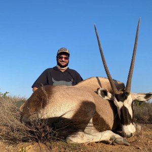 Gemsbok Hunt South Africa