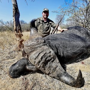 Buffalo Hunt South Africa