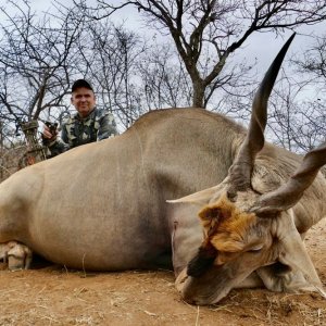Eland Bow Hunt Compound South Africa