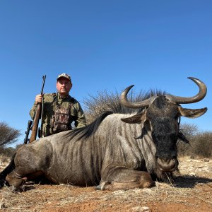 Blue Wildebeest Hunt Namibia