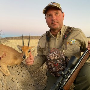 Steenbok Hunt Namibia