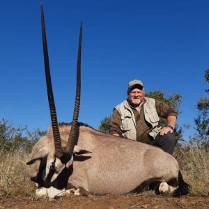 Gemsbok Hunt Western Province South Africa