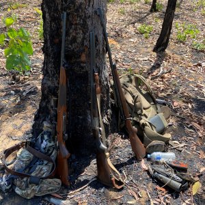 Hunting Rifles Australia