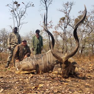 East African Greater Kudu Hunt Tanzania