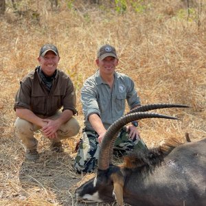 Sable Hunt Tanzania