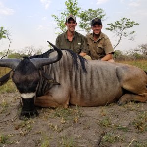 Nyassa Wildebeest Hunt Tanzania