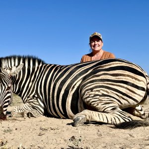 Burchell's Plains Zebra Hunt South Africa