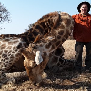 Giraffe Hunt South Africa